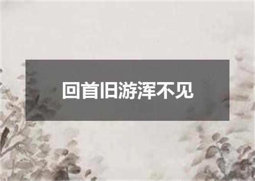 回首旧游浑不见