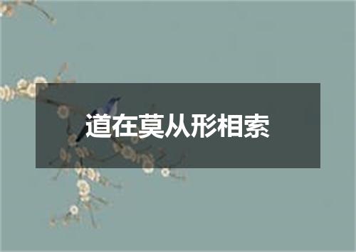 道在莫从形相索