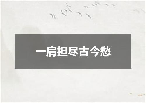 一肩担尽古今愁