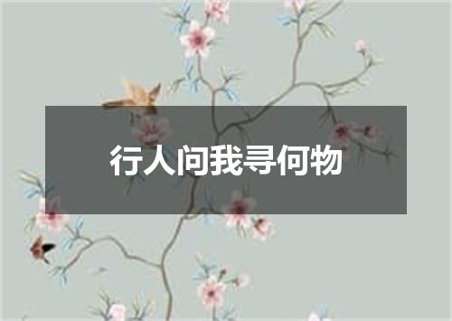 行人问我寻何物