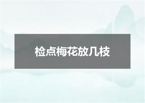 检点梅花放几枝