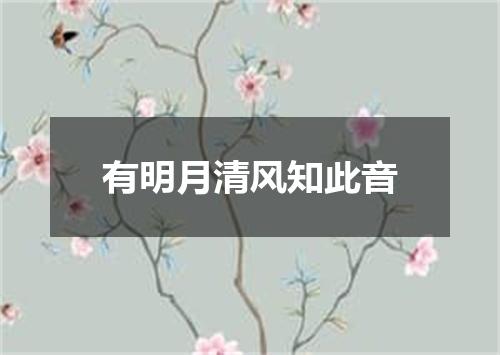 有明月清风知此音
