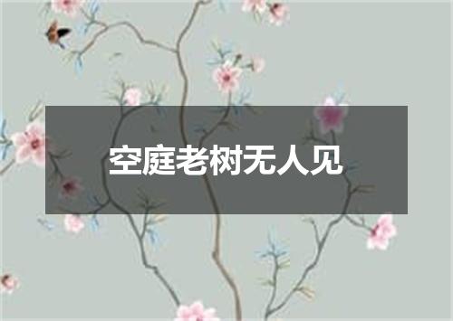 空庭老树无人见