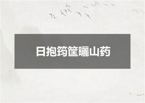 日抱筠筐曬山药