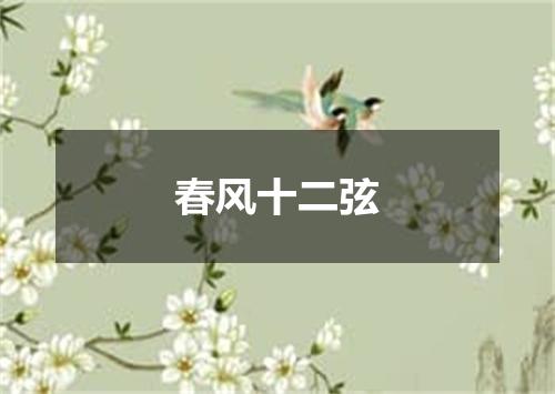 春风十二弦