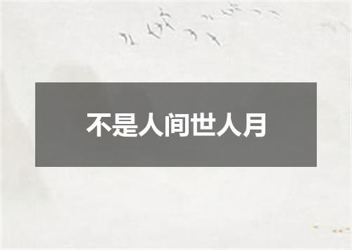 不是人间世人月