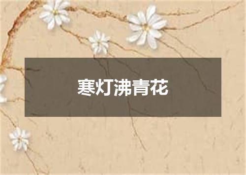 寒灯沸青花