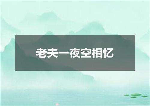 老夫一夜空相忆
