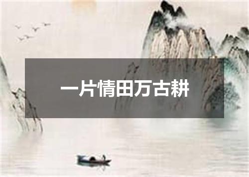 一片情田万古耕