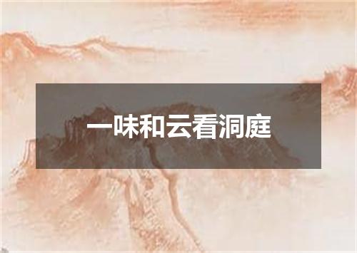 一味和云看洞庭
