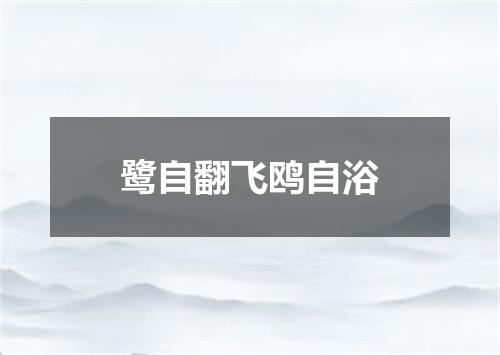 鹭自翻飞鸥自浴