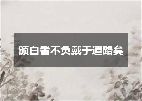 颁白者不负戴于道路矣