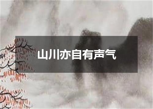 山川亦自有声气
