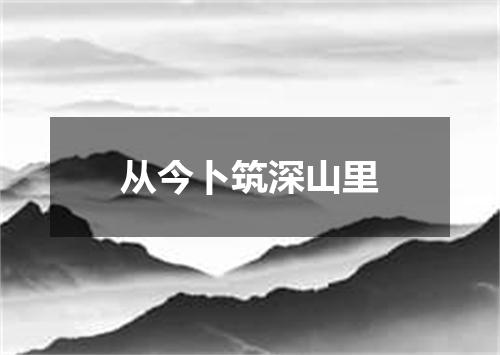 从今卜筑深山里