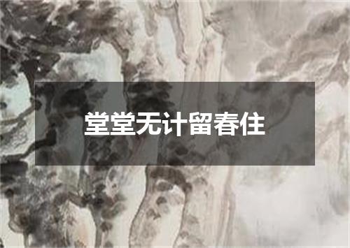 堂堂无计留春住