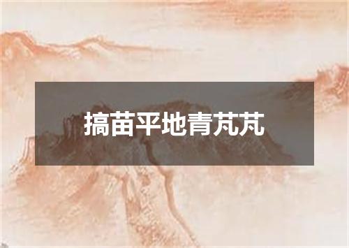 搞苗平地青芃芃