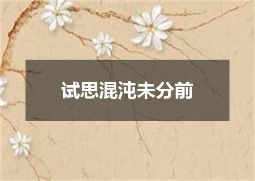 试思混沌未分前