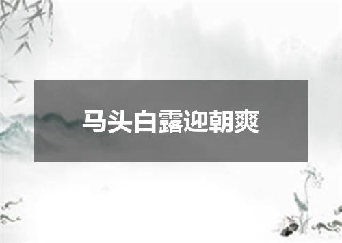 马头白露迎朝爽