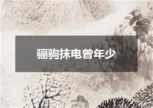 骊驹抹电曾年少