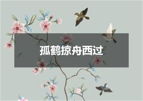 孤鹤掠舟西过
