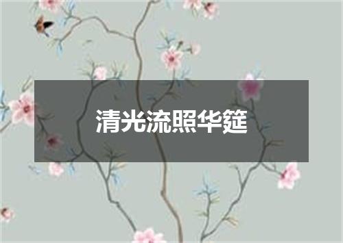 清光流照华筵