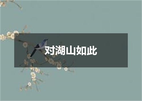 对湖山如此