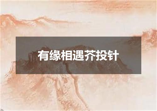 有缘相遇芥投针