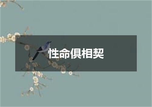 性命俱相契