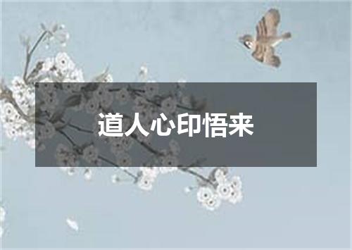 道人心印悟来