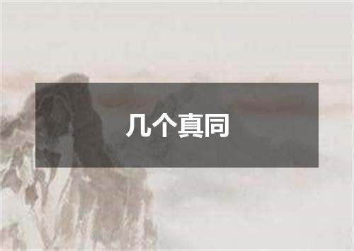 几个真同