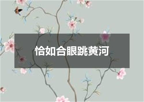 恰如合眼跳黄河