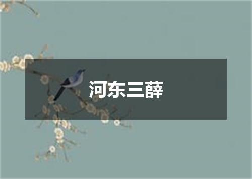 河东三薛
