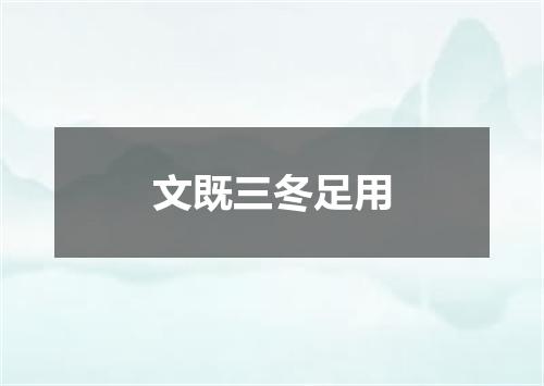 文既三冬足用