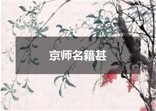 京师名籍甚
