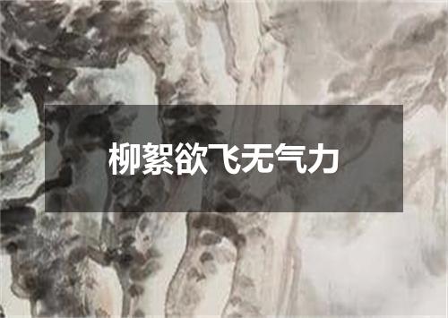 柳絮欲飞无气力