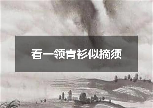 看一领青衫似摘须