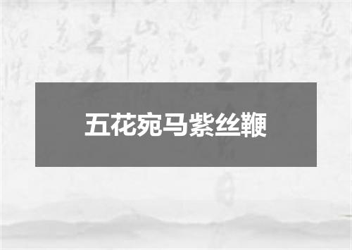 五花宛马紫丝鞭