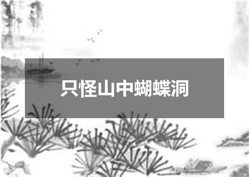 只怪山中蝴蝶洞