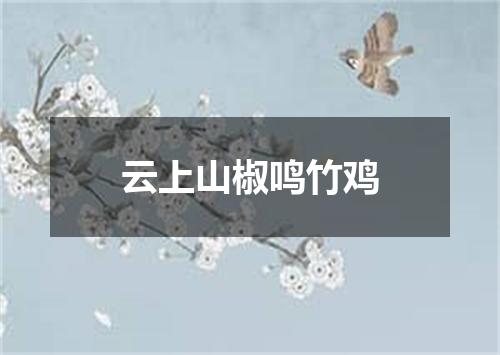 云上山椒鸣竹鸡