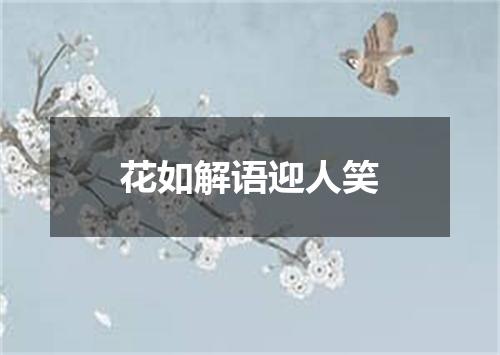 花如解语迎人笑