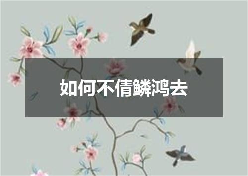 如何不倩鳞鸿去