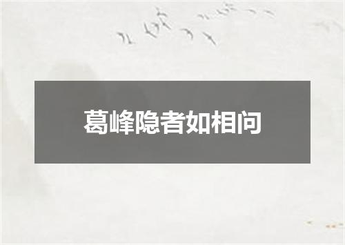 葛峰隐者如相问