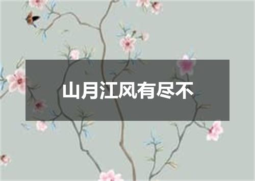 山月江风有尽不