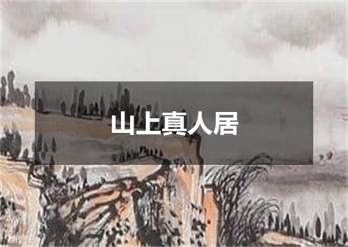 山上真人居