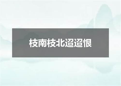 枝南枝北迢迢恨