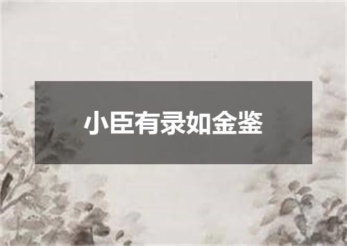 小臣有录如金鉴