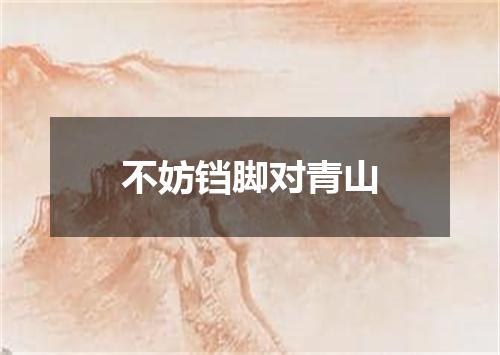 不妨铛脚对青山