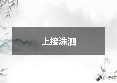 上接洙泗