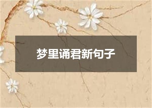 梦里诵君新句子
