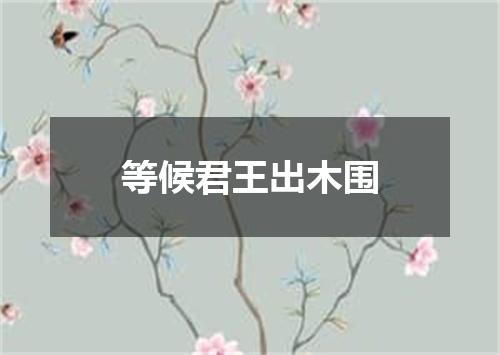 等候君王出木围